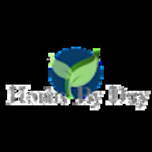 Meet your Posher, Destiny